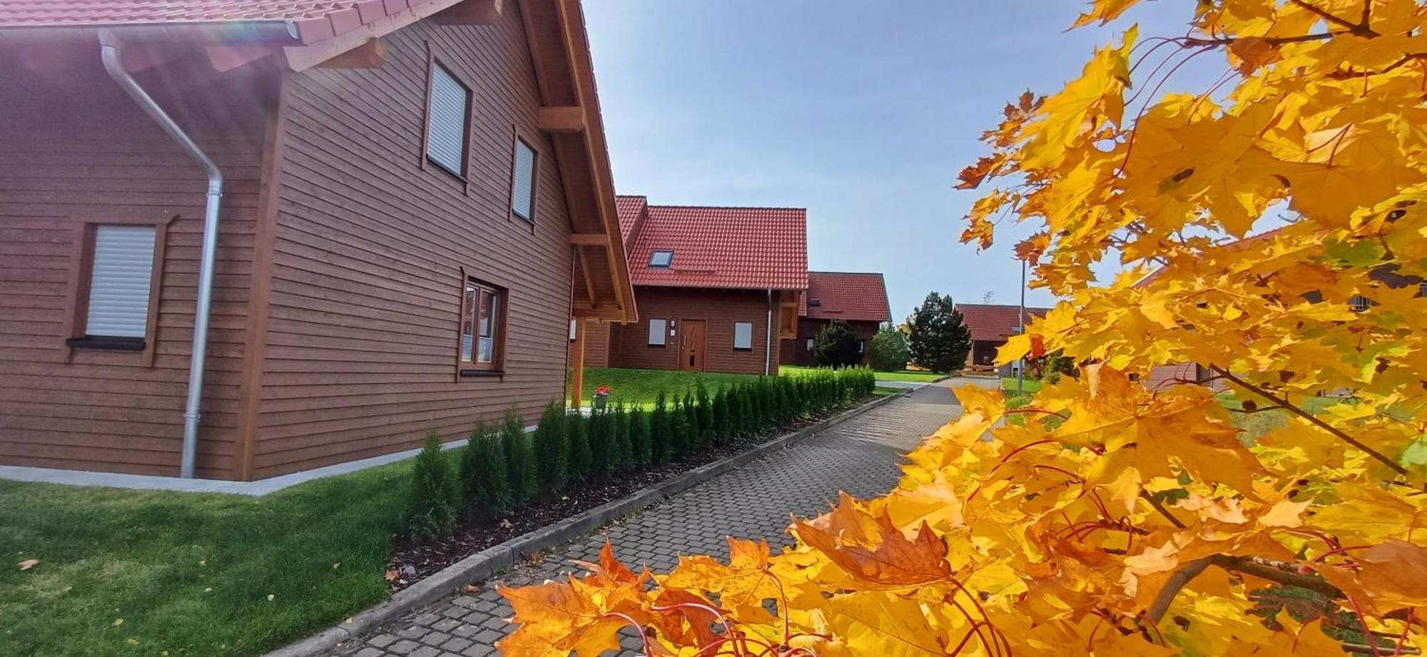 Premiumferienhaus Bhakti Villa Hasselfelde Buitenkant foto